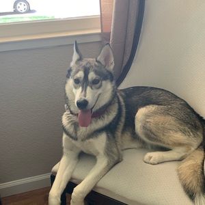 Meet your Posher, Sheri